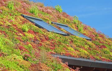 Bowerhill living roof systems