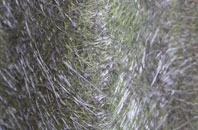 Bowerhill fibreglass roof work